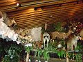 Clark's 4-20-08 022